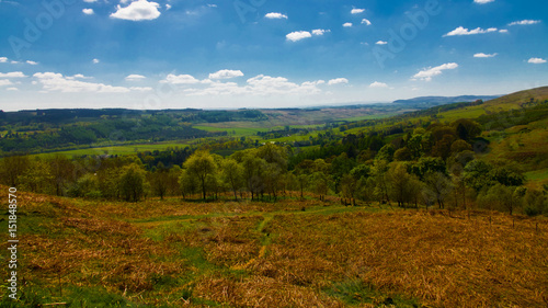 Scottish hillsides with bracken and blue sky with wispy clouds.