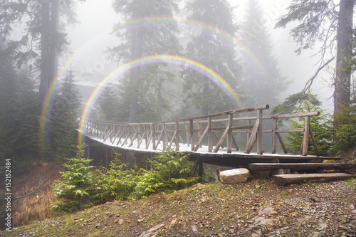 Old wooden bridge