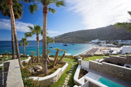 Panorama in Mykonos, Cyclades, Greece. Palm trees in foreground