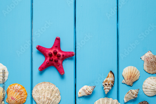Seashells frame on blue wood background