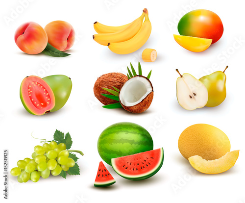 Collection of fruit and berries. Watermelon, grape, pear, banana, mango, coconut, peach, guava. Vector Set.