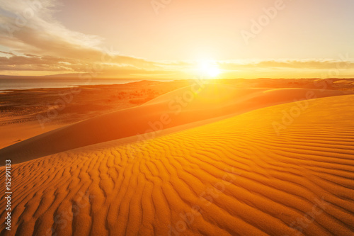 Picturesque desert landscape with a golden sunset over the dunes