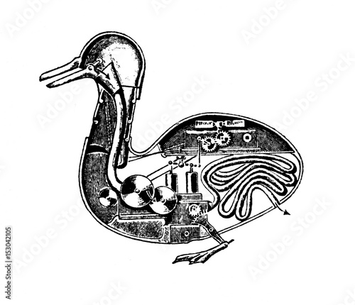 A postulated interior of the Digesting Duck of Vaucanson (1739) by an american observer