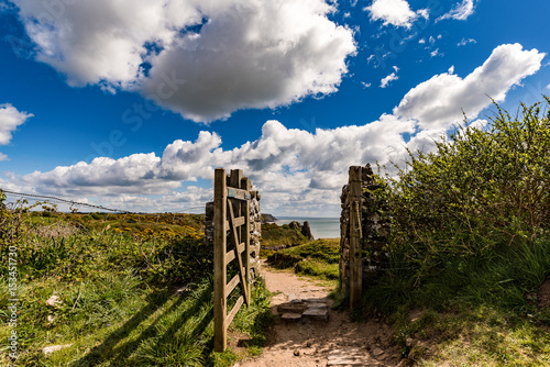 Gate to Tor Bay & Great Tor Gower