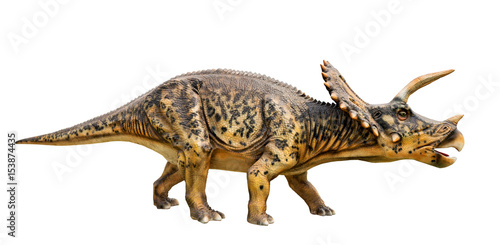 Dinosaur triceratops and monster model Isolated white background