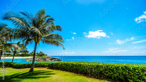 Palm trees swaying in the wind under blue sky at Ko Olina on the West Coast of the Hawaiian island of Oahu