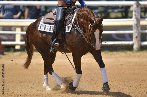 A front view of a rider gallops on horseback on the sandy field