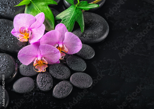 top view of beautiful spa concept of blooming twig lilac orchid flower, green leaves with water drops and zen basalt stones, close up