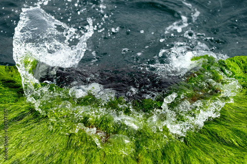 Water wave hit the waterfront on the green algae
