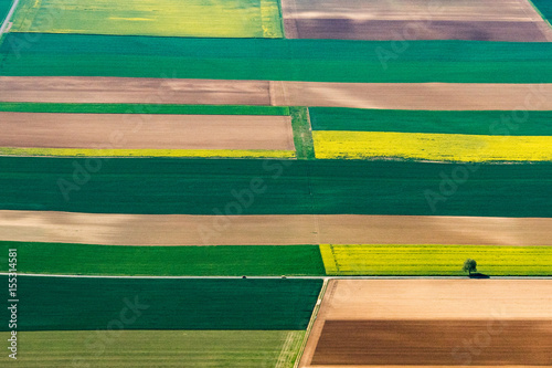 champs de colza dans le Loiret en France