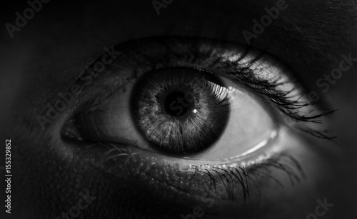 Macro shot of female human eye in black and white toned.