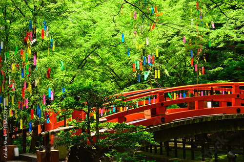 七夕 京都 Tanabata festival, Kyoto Japan