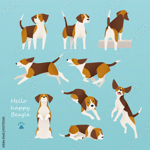beagle dog various poses flat design illustration set