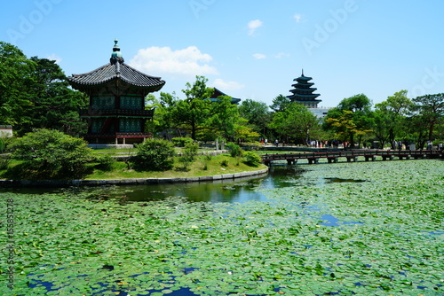Gyeongbokgung Palace (경복궁 향원정)