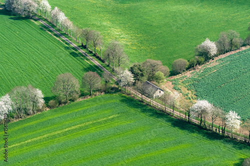 Vue aérienne, d'arbres en fleur près de Flers - 61