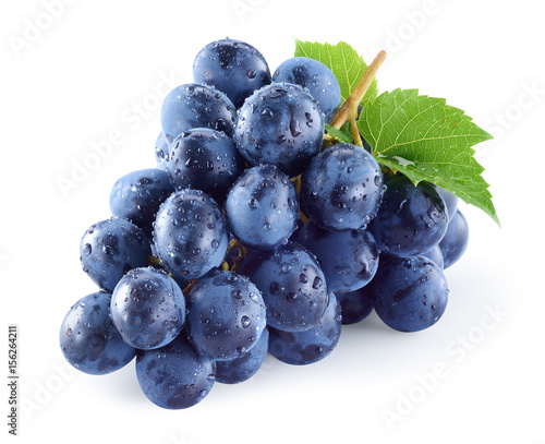 Wet dark blue grape with leaves isolated on white background. Wet fruit. With clipping path. Full depth of field.