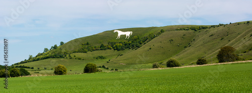 Panorama of Westbury White Horse. Hill figure created by exposing white chalk on the escarpment of Salisbury Plain in Wiltshire, UK