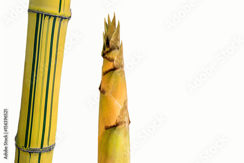 Abstract the similar the bar code of bamboo and bamboo shoot with isolate the white copy space background.The local vegetable and Thailand food.