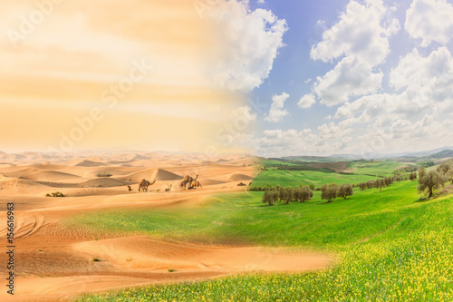 Climate change with desertification process. Double exposure with desert and cultivated fields