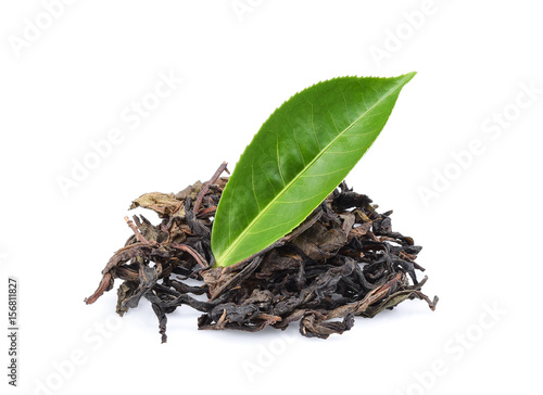Tea dry and fresh green tea leaves isolated on white background
