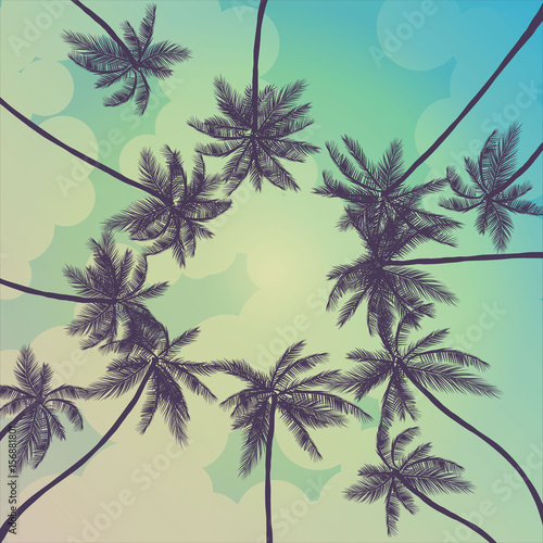 summer palm trees california