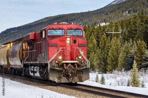 Cargo Train Through Forested Mountains on a Sunny Winter Day