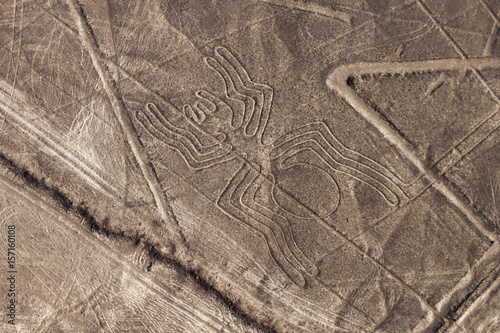 Aerial view of geoglyphs near Nazca - famous Nazca Lines, Peru. In the center, Spider figure is present.