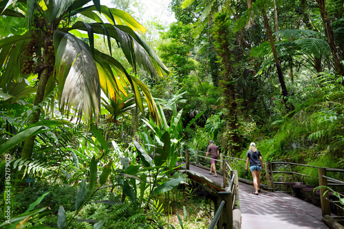 Tourist admiring lush tropical vegetation of the Hawaii Tropical Botanical Garden of Big Island of Hawaii
