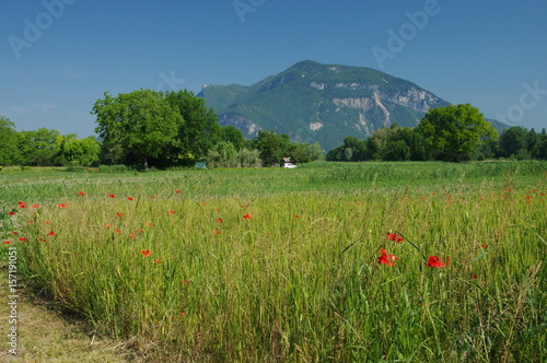 le grand colombier