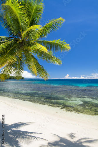 White tropical beach