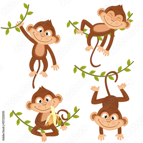 set of isolated monkey hanging on vine - vector illustration, eps