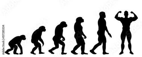 Vector silhouette of evolution of man.