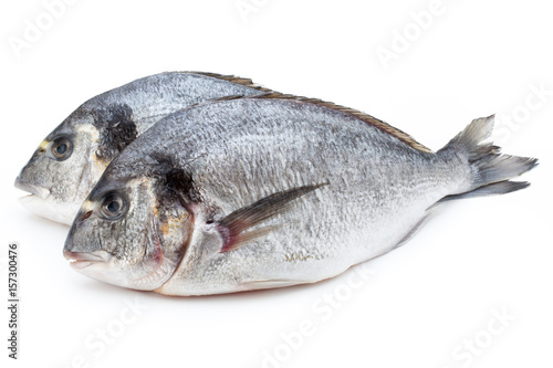 Fresh bream sea isolated on white background.