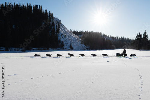 Dog sled racing in Yukon Quest