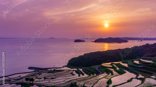 Beautiful Japanese sun set over a terraced rice field.