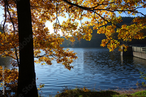 herbst an der heilenbeck talsperre