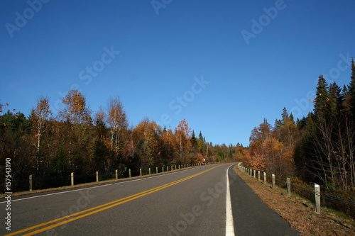 Autumn road in national park
