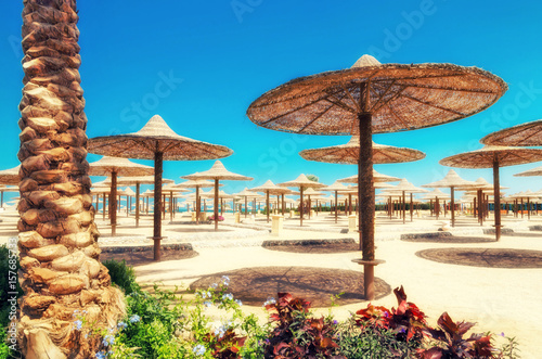 Chaise lounges and parasols on the beach against the blue sky and sea. Egypt, Hurghada