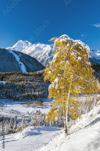 Autumnal snowfall covering Pian di Gembro not far from the ski resort of Aprica Orobie natural park, Alps, Valtellina, Sondrio, Lombardy, Italy Europe