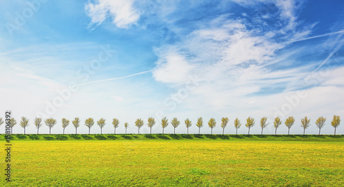 Dike with a row of trees in the Beemster Polder