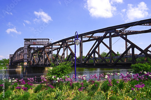 Alliums an der Hubbrücke in MAgdeburg