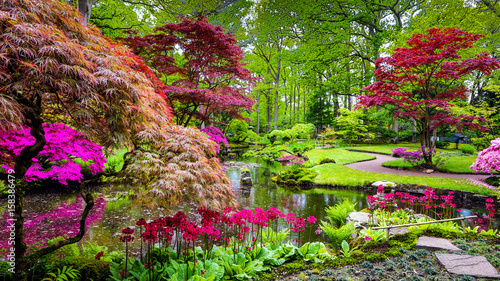 Traditional Japanese Garden in The Hague.