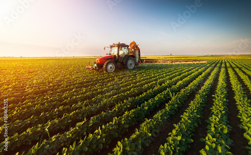Tractor spraying soybean field at spring