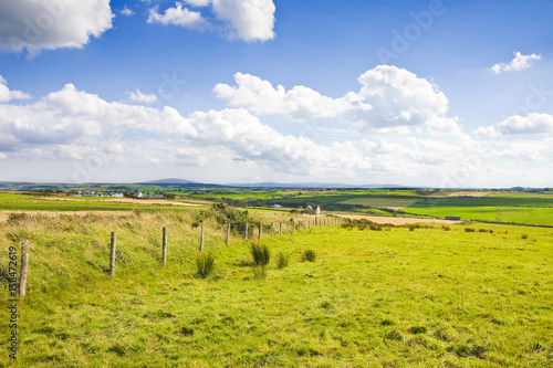 Typical Irish flat landscape with fields of grass and wooden fence for grazing animals (Ireland)