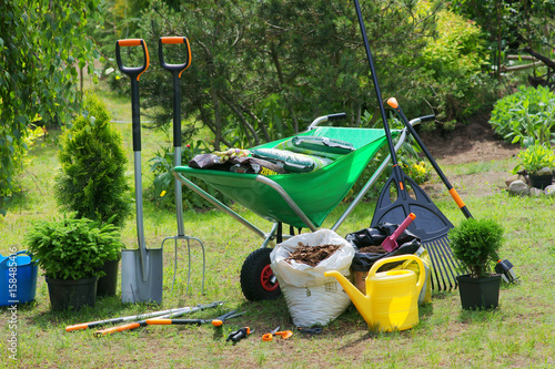 Work in the garden - planting plants