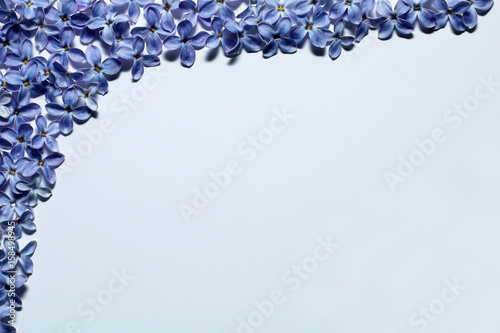 Frame of lilac petals on white background