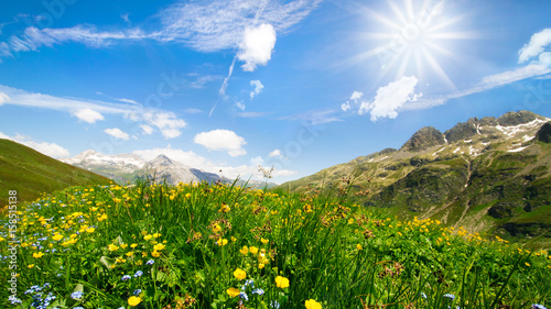Bergidylle - Blumenwiese im Hochgegirge mit weiss blauem Himmel und Sonne