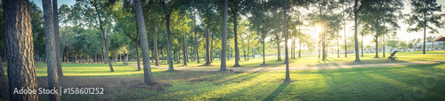 Panorama view an urban park in Texas, America with green grass lawn, huge pine trees and walking/running trail during sunset. Composition of nature in panoramic. Park parking lot is in the distance.