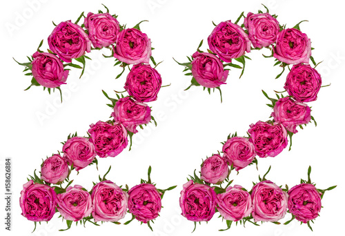 Arabic numeral 22, twenty two, from red flowers of rose, isolated on white background
