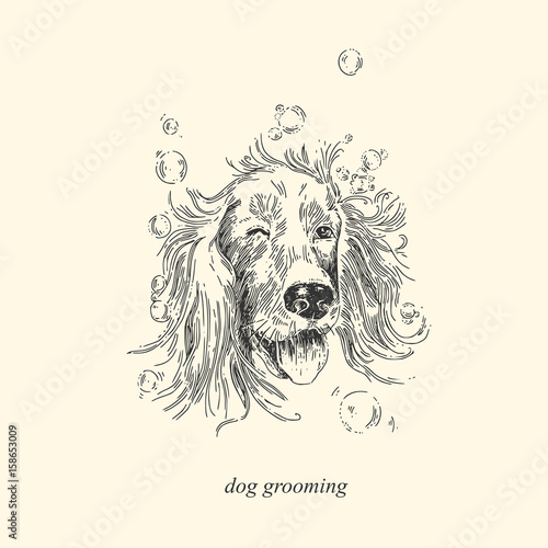 Dog grooming. The dog in soap bubbles. Vintage style. Vector illustration